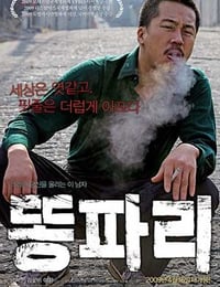 绿头苍蝇