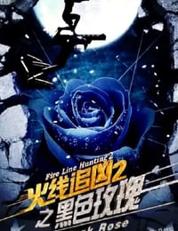 火线追凶2之黑色玫瑰