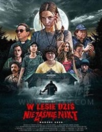 今夜林中无人入睡