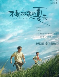 不期而遇的夏天