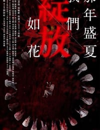 那年盛夏 我们绽放如花