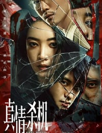 真情杀机