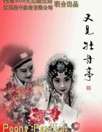 又见牡丹亭