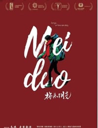 梅朵与月光