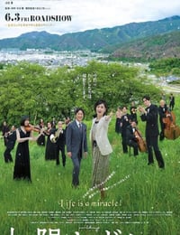 太阳与波莱罗