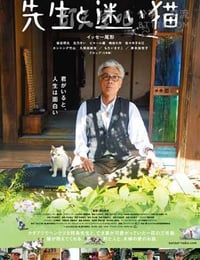 先生と迷い猫