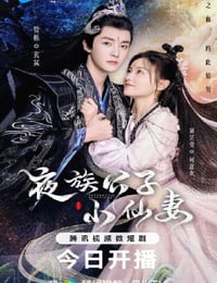 夜族公子小仙妻
