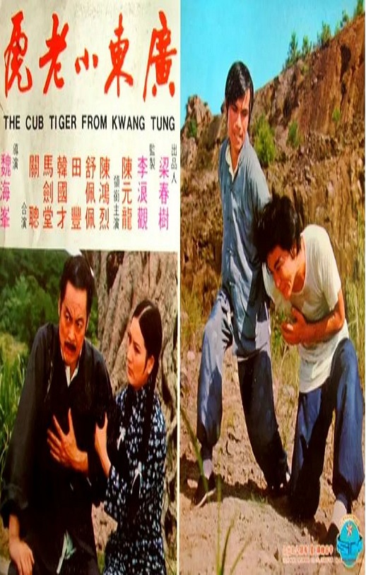 广东小老虎