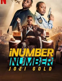 iNumber Number：约堡黄金大劫案