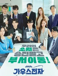 高斯电子公司