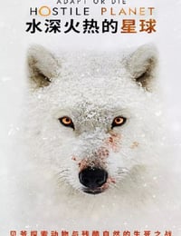 水深火热的星球海报