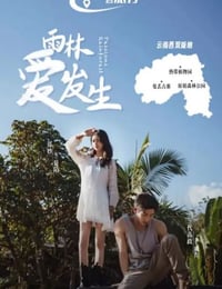 雨林爱发生
