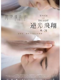 逆光飞翔