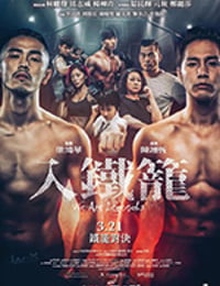 入铁笼